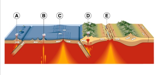 Immagine presa da "scienze della terra - WordPress.com"